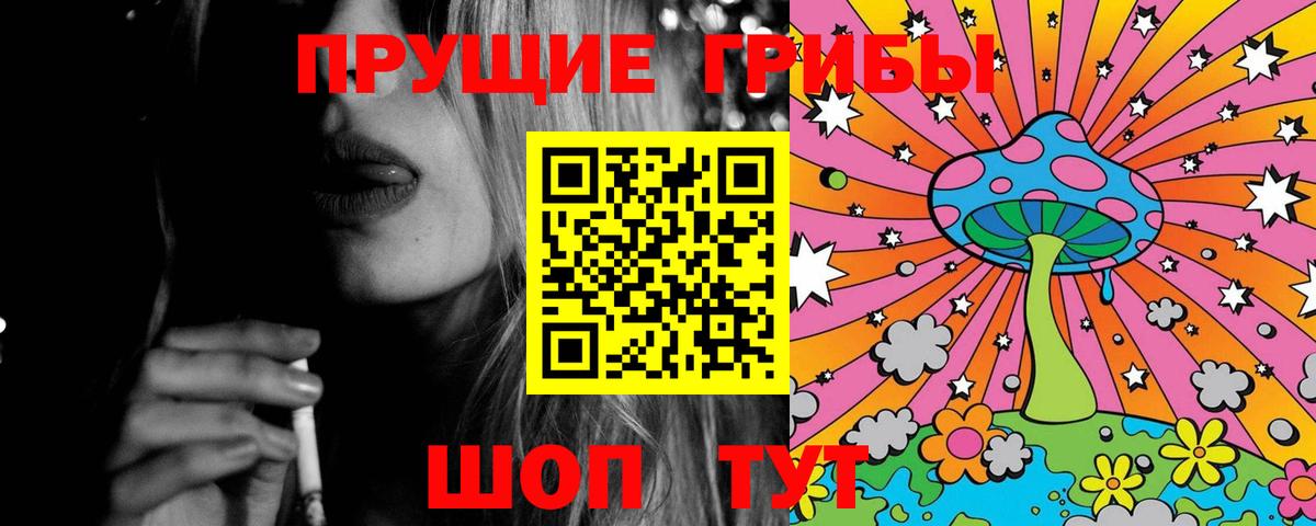 купить наркотик  Псилоцибиновые грибы Magic Shrooms  Вход с VPN  Сызрань 